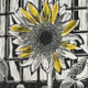 Sunflower at Cafe Azul<br>Linocut<br> 12&rdquo; x 18&rdquo;